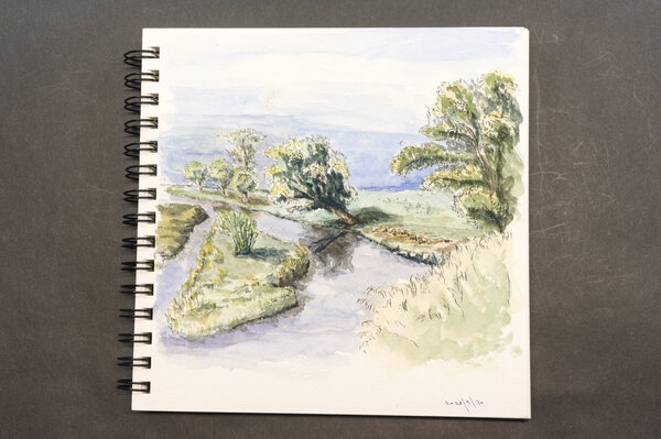 Third attempt at a watercolor of a grazing pasture I pass by frequently. Picture taken in late summer. This version is pen and ink with watercolor where I went way too heavy on the watercolor and it ended up muted, muddy mess of greens.