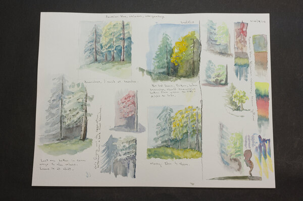 A bunch of attempts at watercolor woodland trees with a limited palette of blue, crimson, and a yellow. My trees are messy.