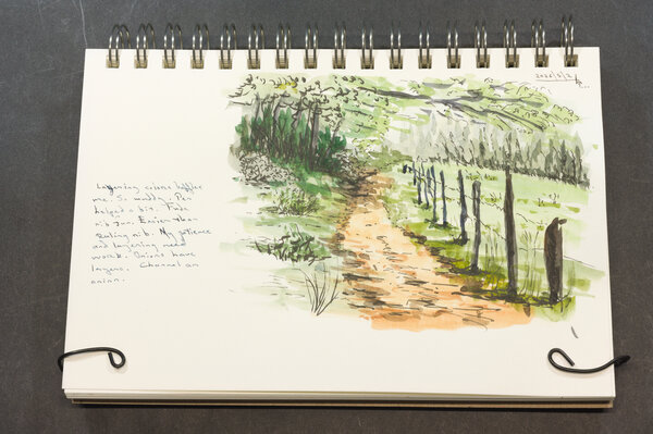 Watercolor of a woodsy path with a grassy field on the right separated by a knotty wooden picket fence. Second attempt.