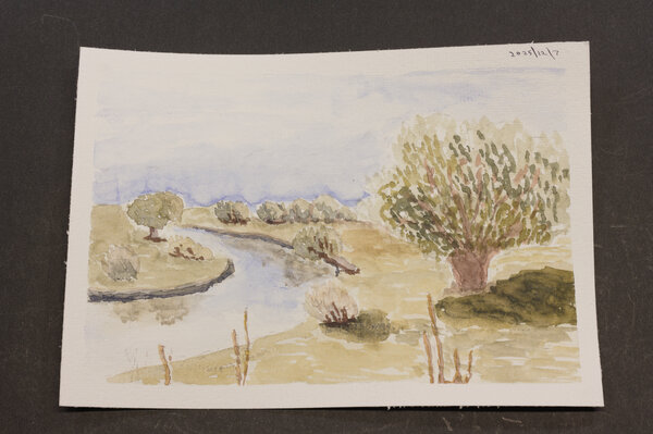 First attempt at a watercolor of a grazing pasture I pass by frequently. Picture taken in late summer.