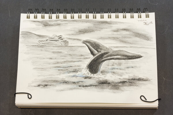 Black and white graphite drawing of a whale tail breaching the ocean with a boat in the distance. A water brush was applied over the carbon pencil to produce smoother textures.