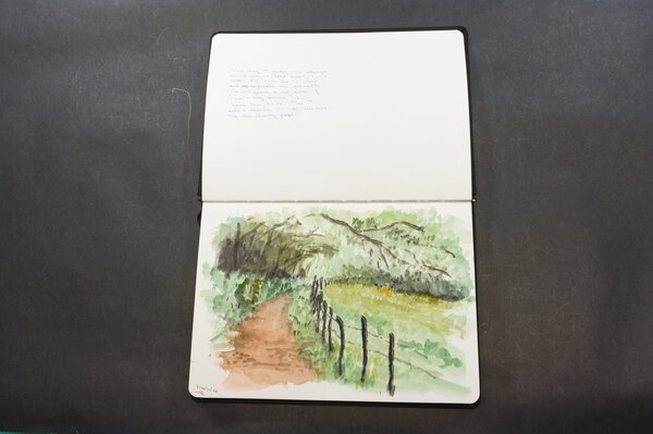 Watercolor of a woodsy path with a grassy field on the right separated by a knotty wooden picket fence. First attempt.