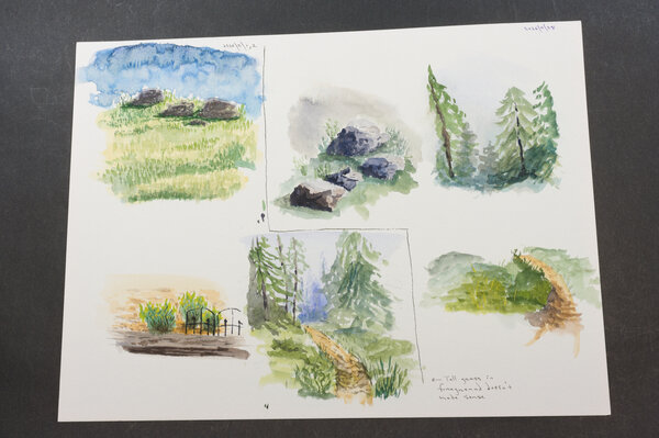 Six little watercolor sketches of forest stuff: rocks and grass, trees and a path, and a couple of plants in my garden.